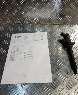 Volvo V70 Fuel injector 0445110259 328480
