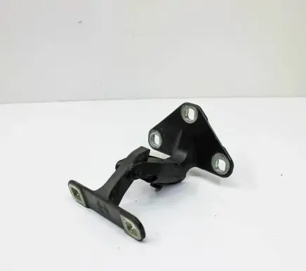 BMW X5 E70 Tailgate/trunk/boot hinge 14187910