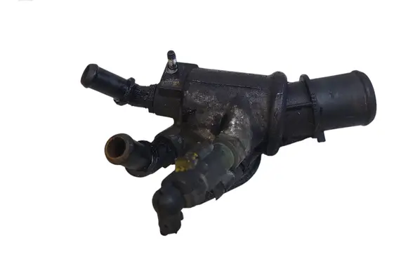 Thermostat/thermostat housing