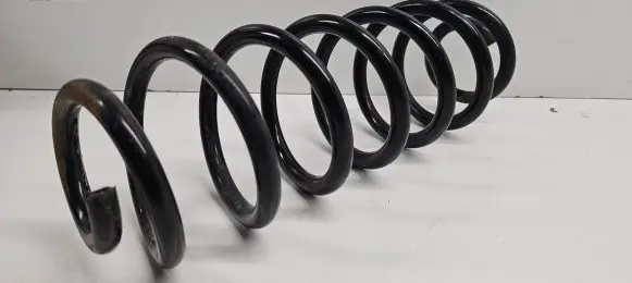 Volkswagen PASSAT B6 Rear coil spring