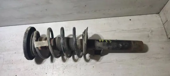 BMW X3 F25 Front shock absorber with coil spring 6796316
