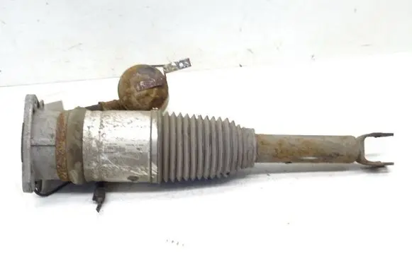 Audi A8 S8 D3 4E Rear shock absorber/damper 4E0616001F