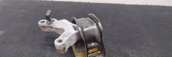 Dacia Lodgy Engine mount bracket 112103095R