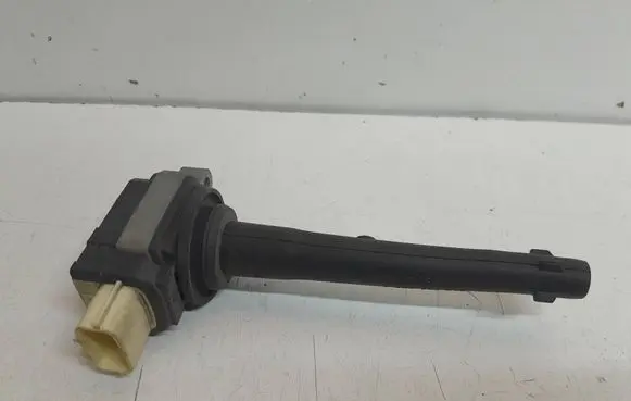 Renault Scenic III - Grand scenic III High voltage ignition coil 1220703039 0221504030 P699627