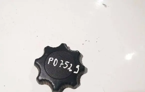 Renault Scenic I Other interior part 6500633