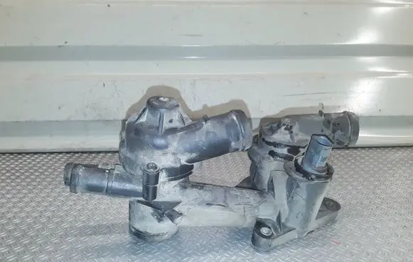 Thermostat/thermostat housing