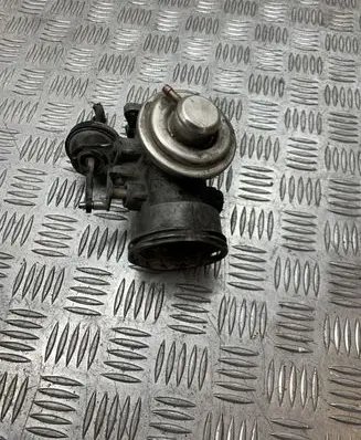 Seat Toledo III (5P) EGR valve