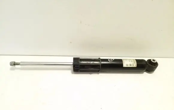 Volkswagen ID.4 Rear shock absorber/damper 1EA512013BD