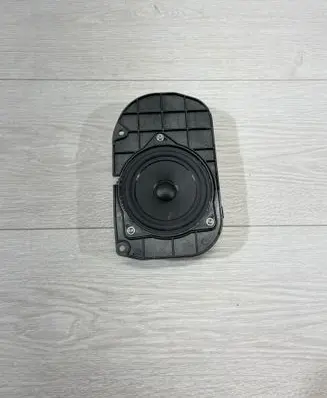 Panel speaker
