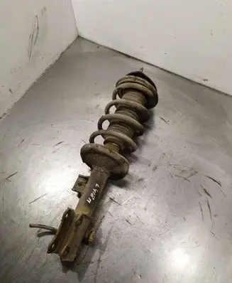 Suzuki Grand Vitara II Front shock absorber with coil spring