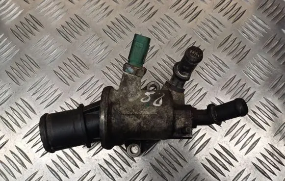 Thermostat/thermostat housing