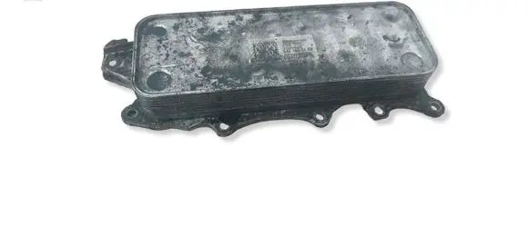 Mercedes-Benz C AMG W204 Engine oil radiator 6421800165