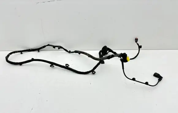 Other wiring loom