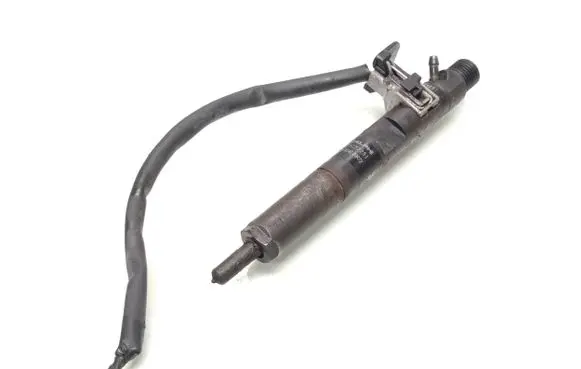 Renault Kangoo II Fuel injector 166001137R H8200421897 28232251