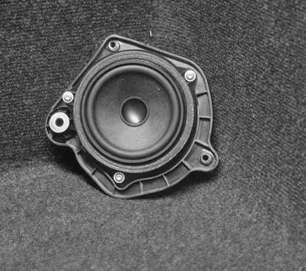 BMW X3 F25 Rear door speaker 7246671