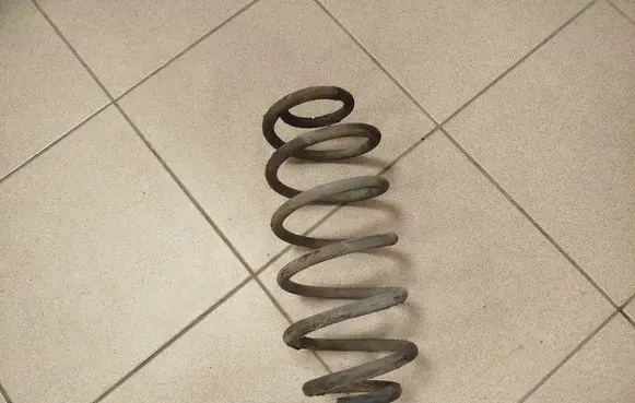 Rear coil spring