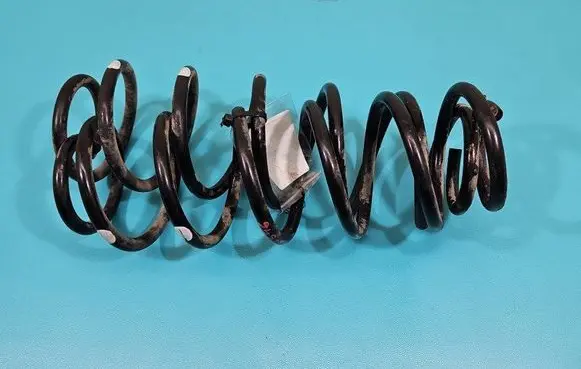 Rear coil spring
