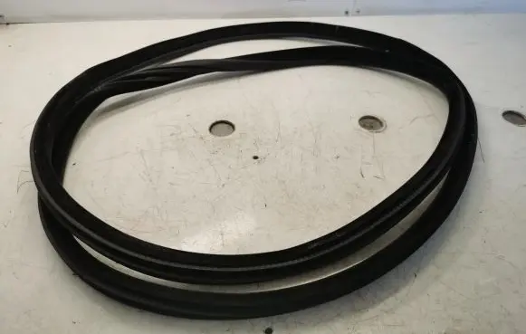 BMW X5M F85 Rubber seal rear door 7289639
