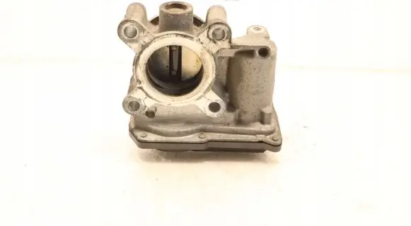 Dacia Sandero Throttle body valve 
