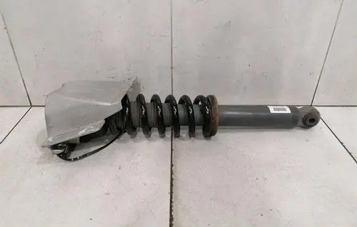 Aston Martin Vanquish V12 Rear shock absorber with coil spring CD3318W002CA