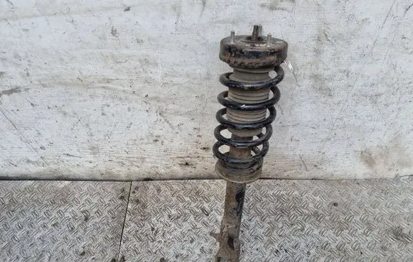 Chrysler 300 - 300C Front shock absorber with coil spring 04895627AB