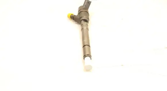 Hyundai Santa Fe Fuel injector 0445110064