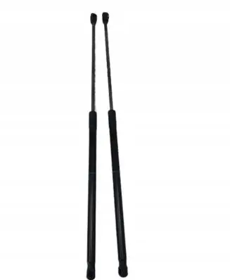 Renault Megane III Tailgate/trunk strut/damper 904510002R