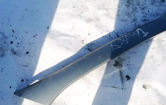 Peugeot 607 Windshield trim 300537