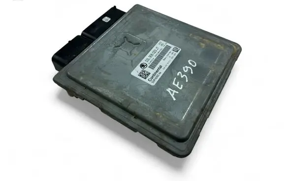 Engine control unit/module ECU