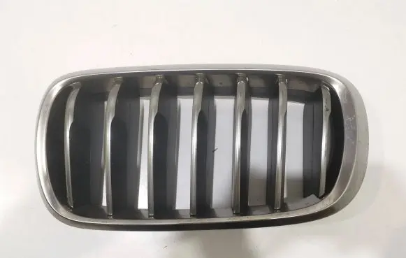 BMW X6 F16 Bonnet/hood grill 7349393