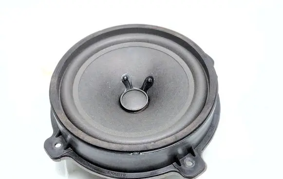 Chevrolet Captiva Rear door speaker 25907866