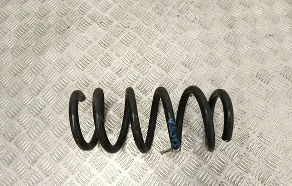 Tesla Model Y Rear coil spring 118847600B