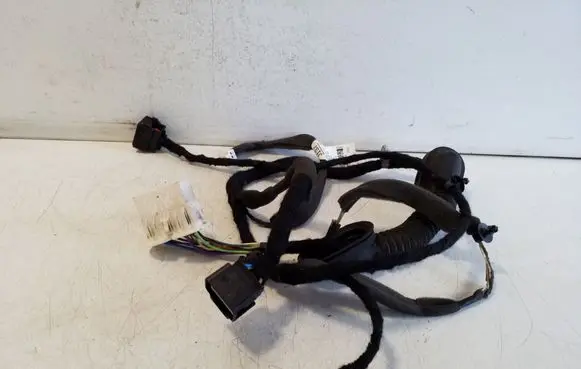 Chevrolet Captiva Rear door wiring loom 20980137