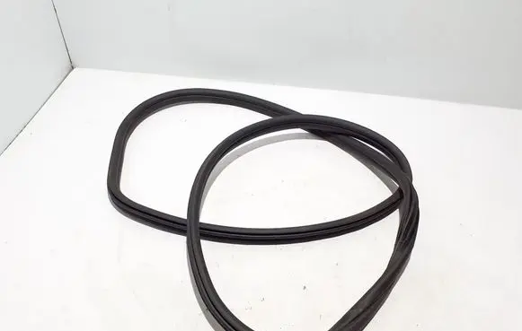 BMW X4M F98 Rear door rubber seal (on body) 7390750