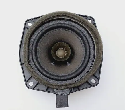 Rear door speaker