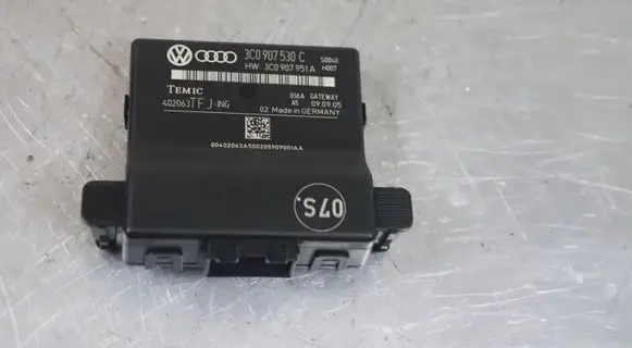 Volkswagen PASSAT B6 Gateway control module 3C0907530C