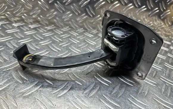 Peugeot Expert Front door check strap stopper 9809831880