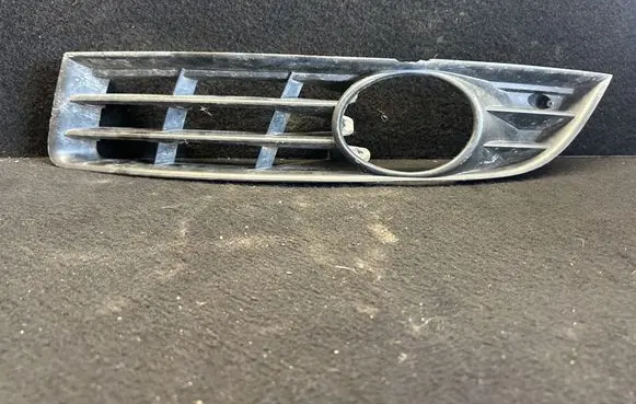 Volkswagen PASSAT B6 Front bumper lower grill 3c0853665