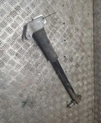 Jaguar XF X260 Rear shock absorber/damper 1234