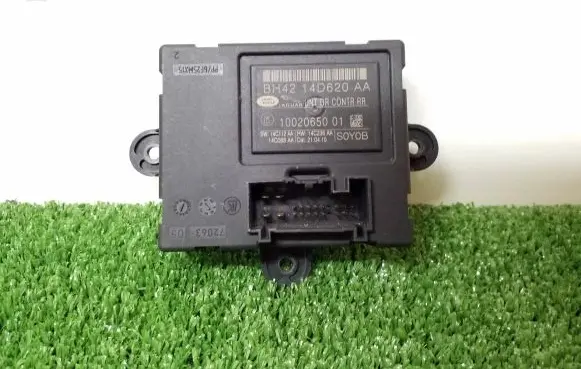 Land Rover Range Rover Sport L320 Door control unit/module BH4214D620AA 1002065001