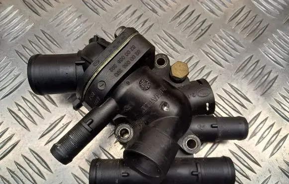 Thermostat/thermostat housing