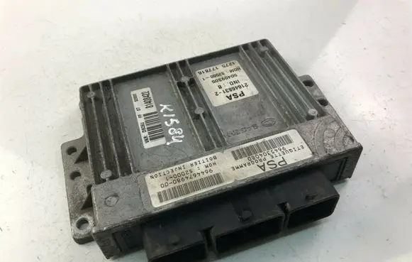 Peugeot 406 Other control units/modules 9645304080 K1584