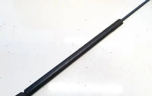 Tailgate/trunk strut/damper