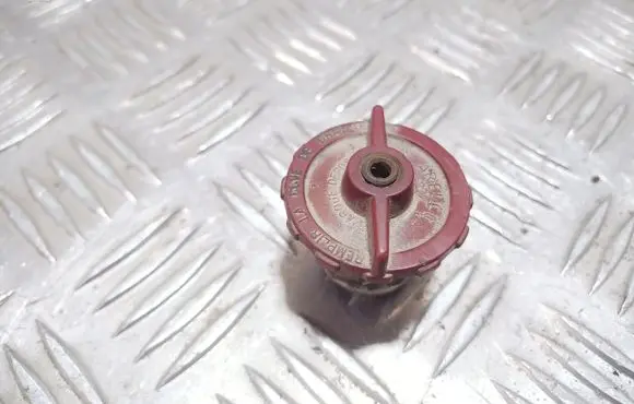 Renault 19 Positive cable (battery)