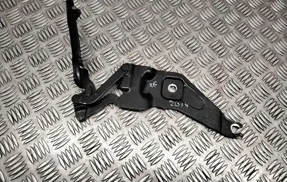 BMW X6 E71 Engine bonnet/hood hinges 7208627