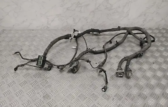Ford Mach-E I Other wiring loom LJ8T14B599EAC