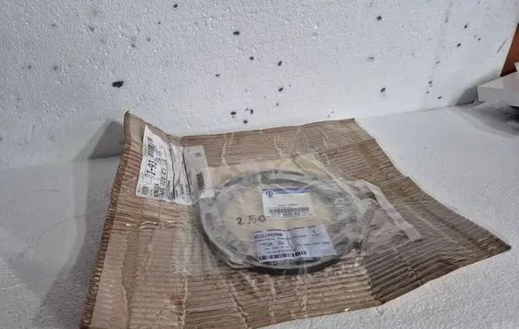 Dodge RAM 3500 DR Pressure plate 52119929AB