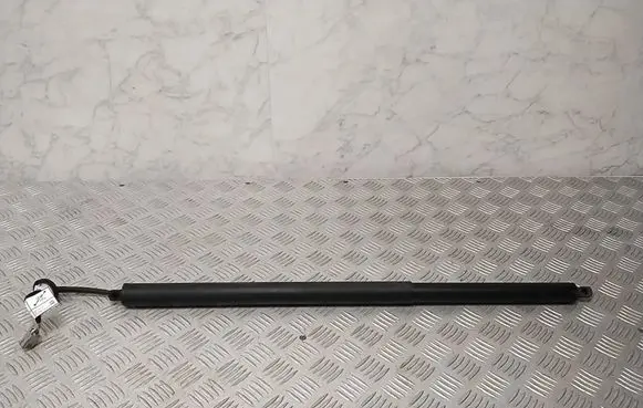 Ford Mach-E I Tailgate strut LJ8BR402A54AB