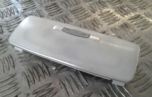Renault Laguna III Rear seat light 264300005R