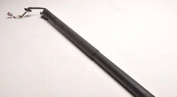 Ford Mustang Mach-E Tailgate strut LJ8B-R402A54-AE